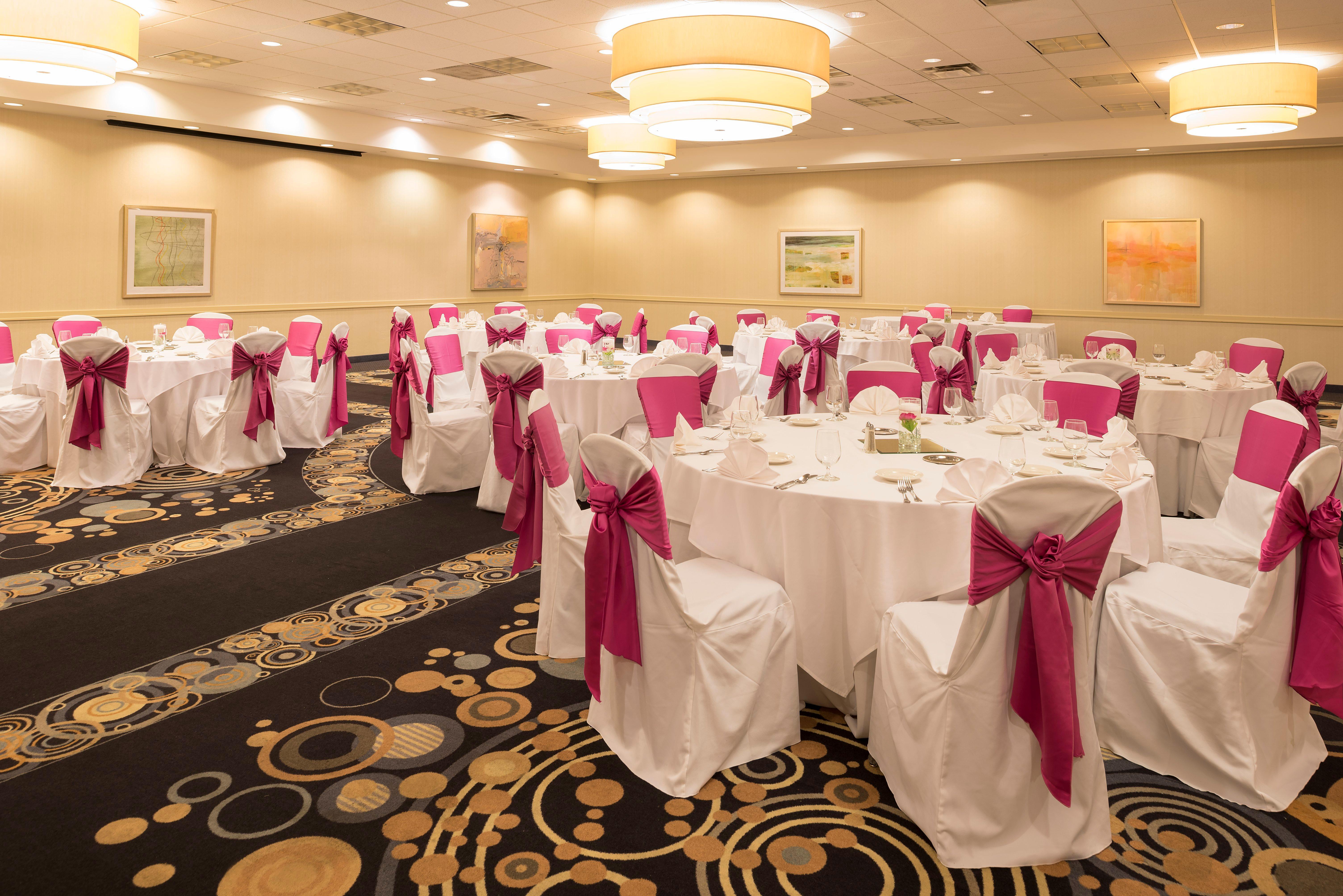 Holiday Inn Chicago - Elk Grove, An Ihg Hotel Елк-Ґров-Віллідж Екстер'єр фото