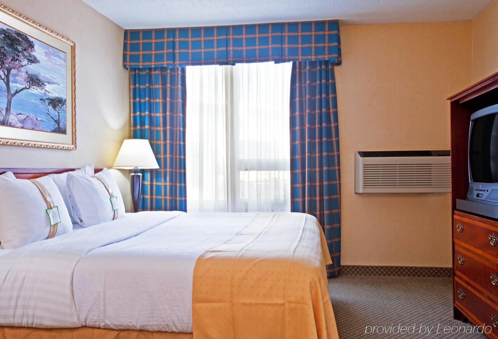 Holiday Inn Chicago - Elk Grove, An Ihg Hotel Елк-Ґров-Віллідж Номер фото